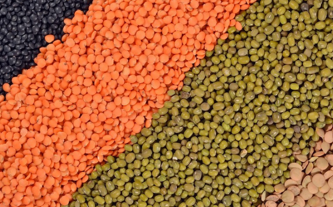 微信图片_20260402173043_55_154