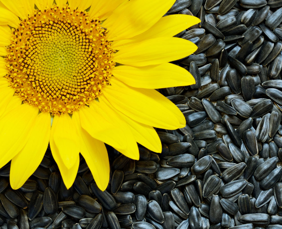 微信截图_20230914171909 微信截图_20230914171909