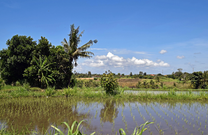 微信截图_20230420110156 微信截图_20230420110156