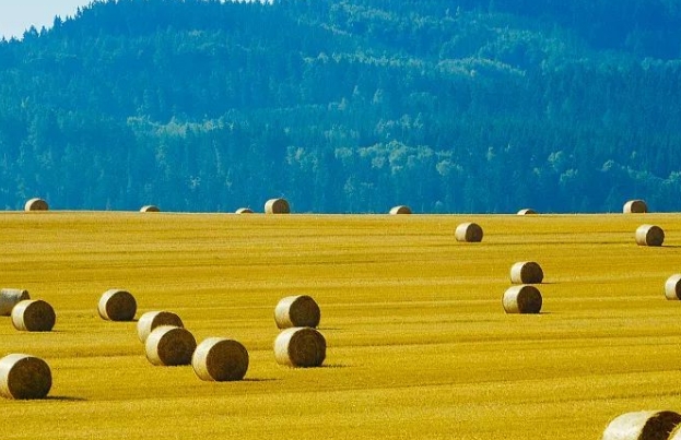 微信截图_20231103154703 微信截图_20231103154703