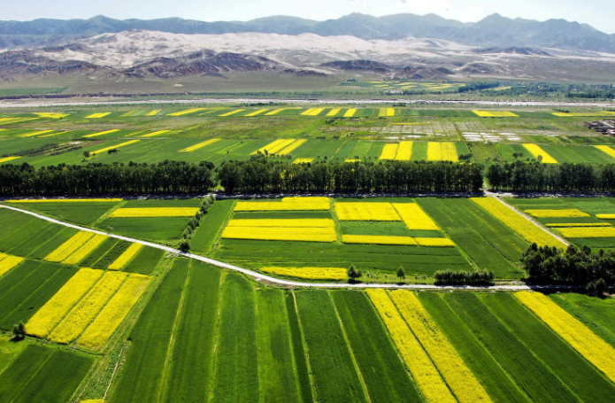 微信截图_20230322171721 微信截图_20230322171721