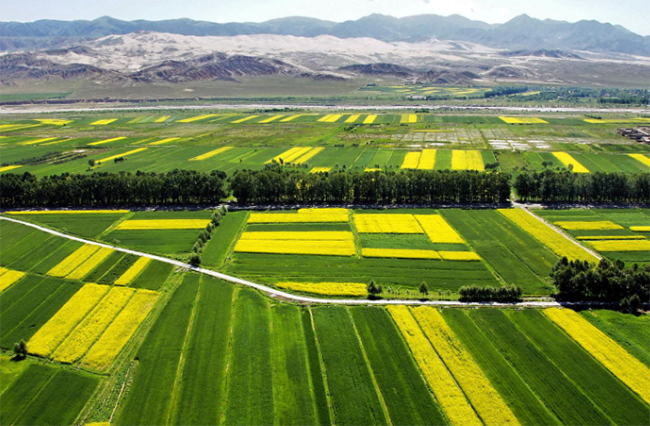 微信图片_2026-02-26_180625_790 微信图片_2026-02-26_180625_790